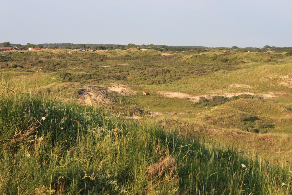 Posthuisje Zandvoort Oda fotoğraf
